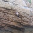 Psicobloc Albir - Foto de la zona a la que se llega por el sendero que hay 300m pasado túnel.