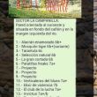 Sector piedra campanilla - Sector de la margen izquierda del r�o, con v�as de 10 a 20mts