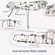 Sub- Sectores Peña Castilla - 