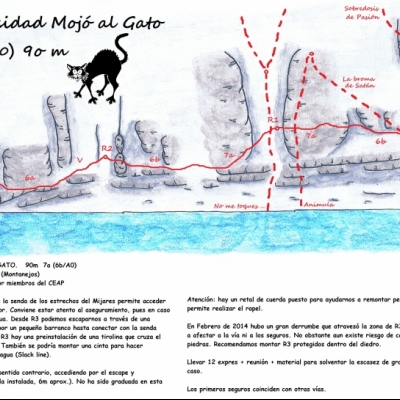 Croquis La Curiosidad mojó al gato